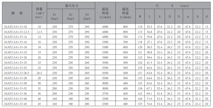 MAP2.5A1-齒輪泵-型號.jpg